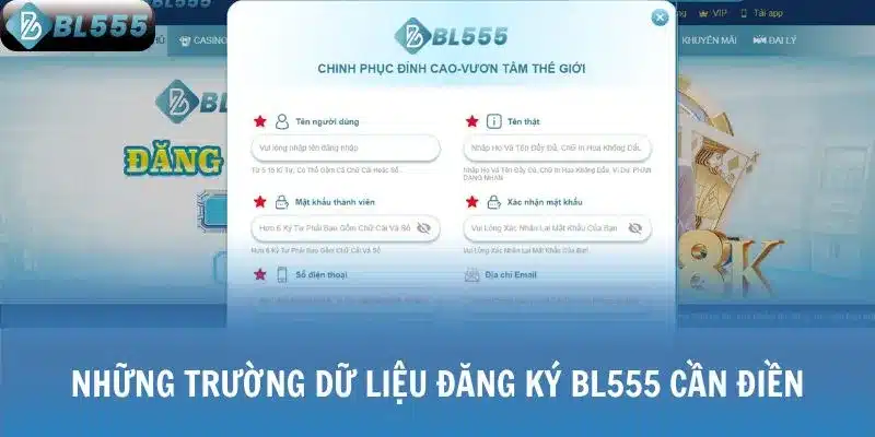 Những trường dữ liệu đăng ký BL555 cần điền