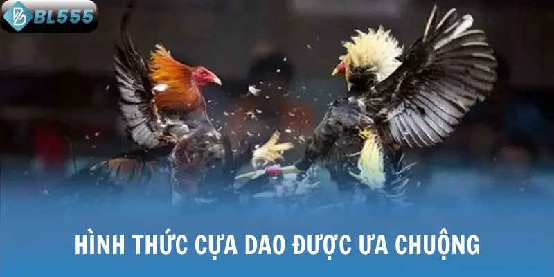 Hình thức cựa dao được ưa chuộng