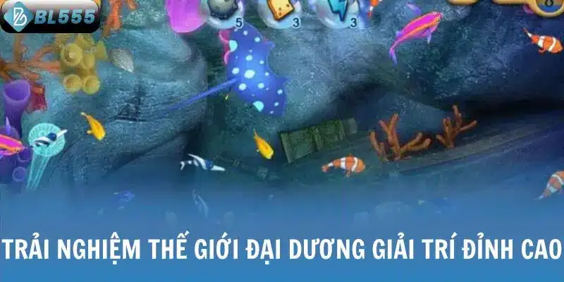 Trải nghiệm thế giới đại dương giải trí đỉnh cao