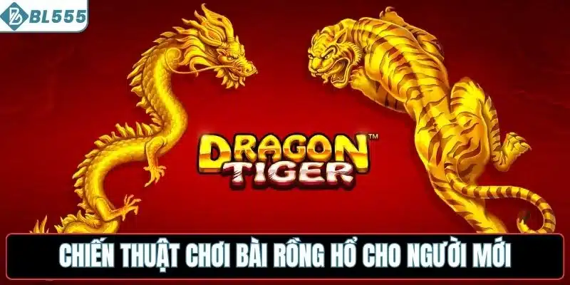 Chiến thuật chơi bài rồng hổ cho người mới
