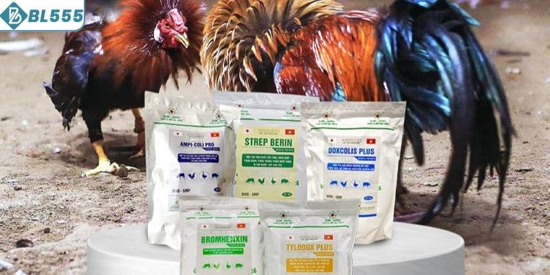 Lý do sử dụng thuốc trị đường ruột cho gà đá