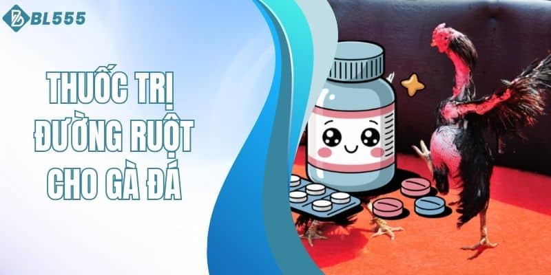 Thuốc trị đường ruột cho gà đá