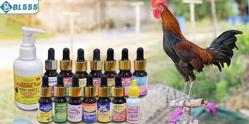 Trường hợp gà gặp vấn đề về đường ruột